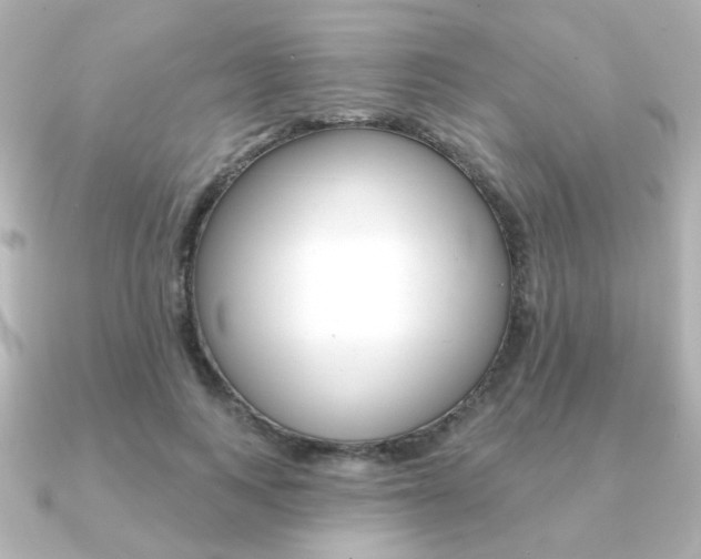 X0000091370743200708101114