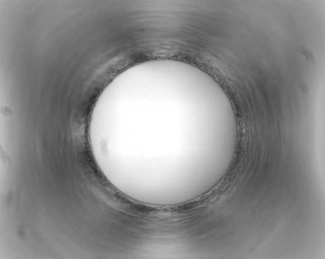 X0000091370745200708101114