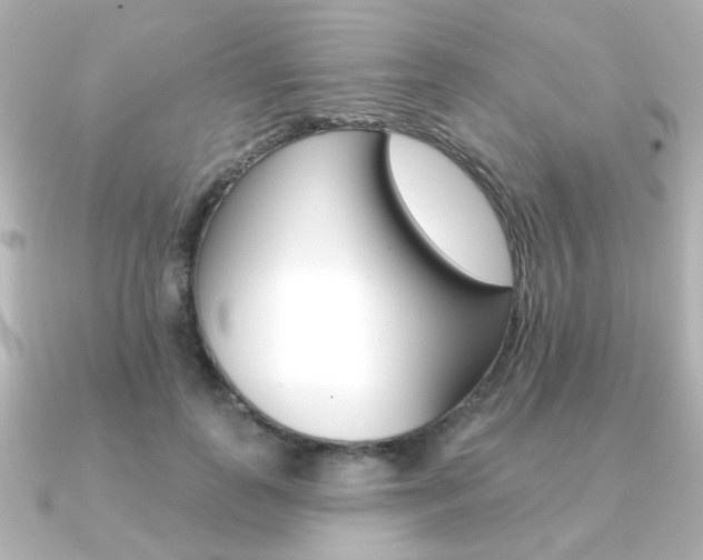 X0000091370747200708101114