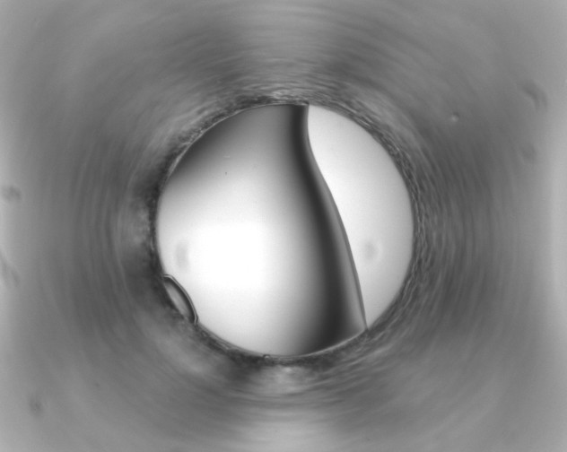 X0000091370748200708101114
