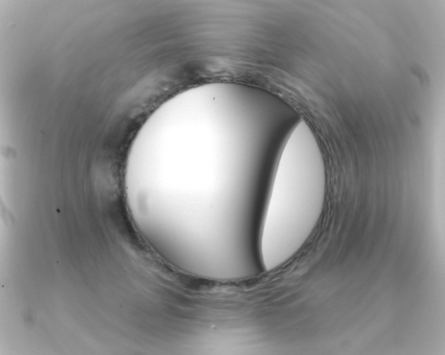 X0000091370751200708101114