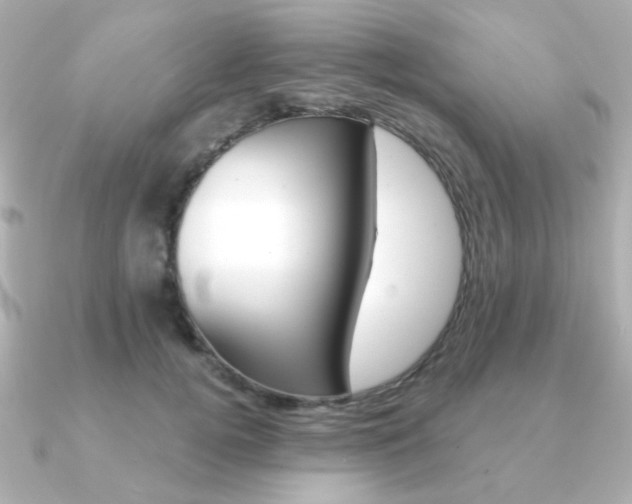 X0000091370752200708101114