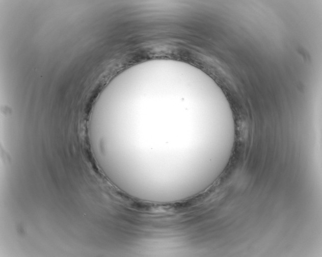 X0000091370753200708101114