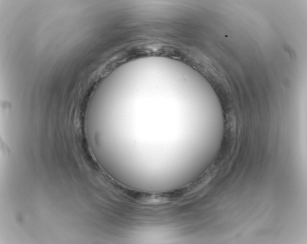 X0000091370754200708101114
