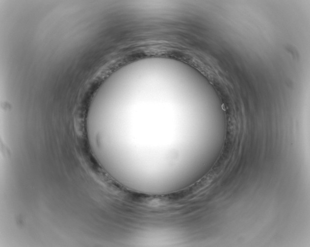 X0000091370755200708101114