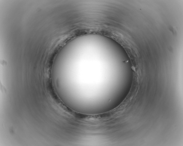 X0000091370756200708101114