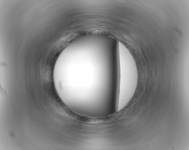 X0000091370760200708101114