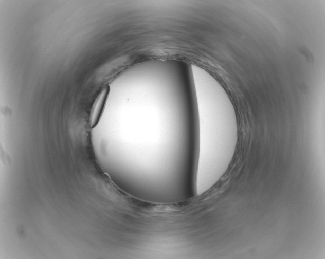 X0000091370762200708101114