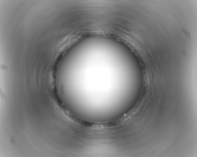 X0000091370764200708101114