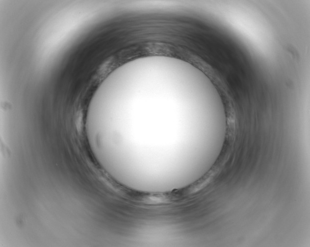 X0000091370765200708101114