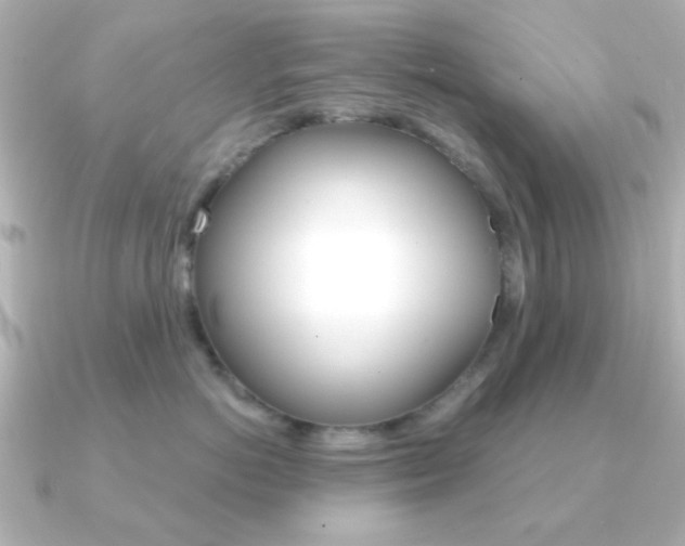 X0000091370766200708101114