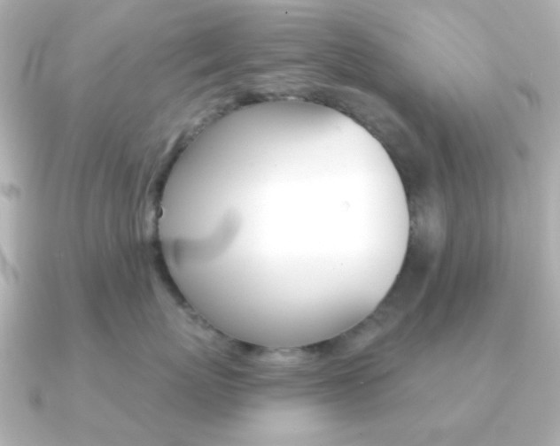 X0000091370767200708101114