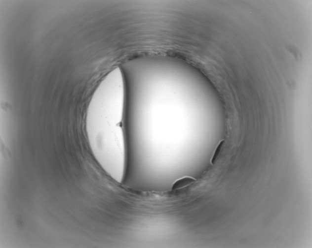 X0000091370768200708101114