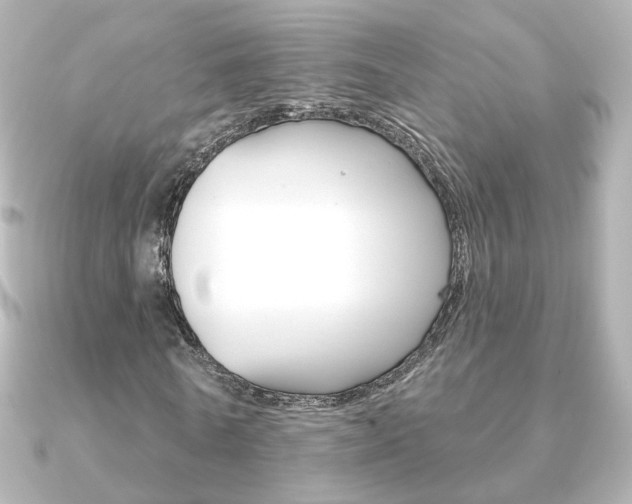 X0000091370770200708101114