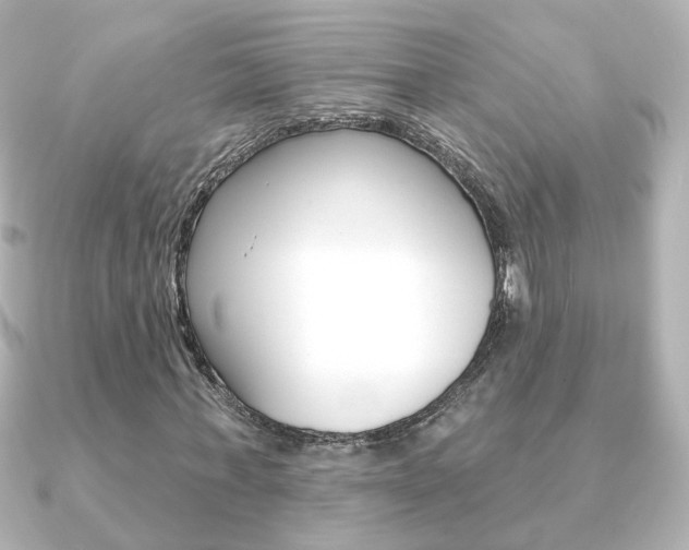 X0000091370771200708101114