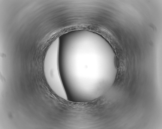 X0000091370773200708101114