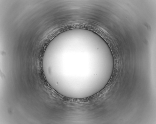 X0000091370774200708101114