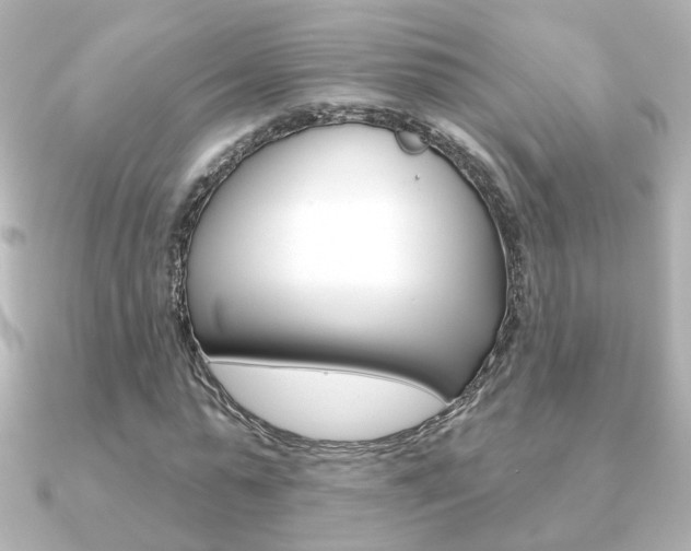 X0000091370775200708101114