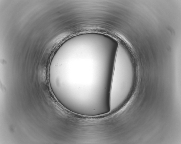 X0000091370777200708101114