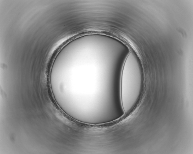 X0000091370779200708101114