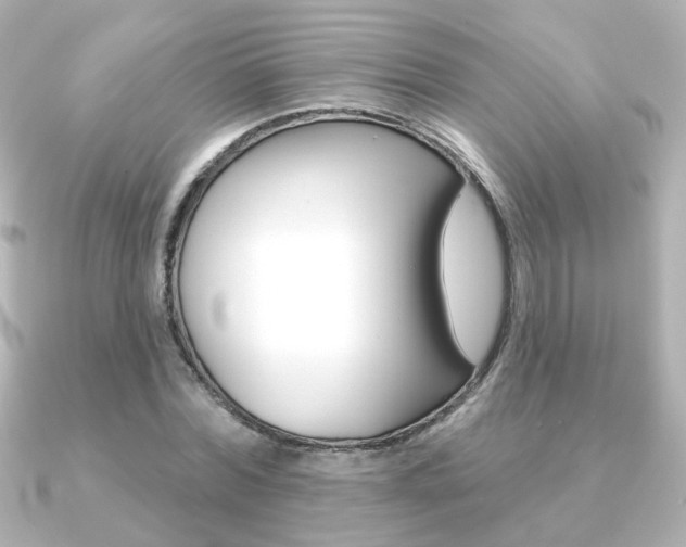 X0000091370780200708101114