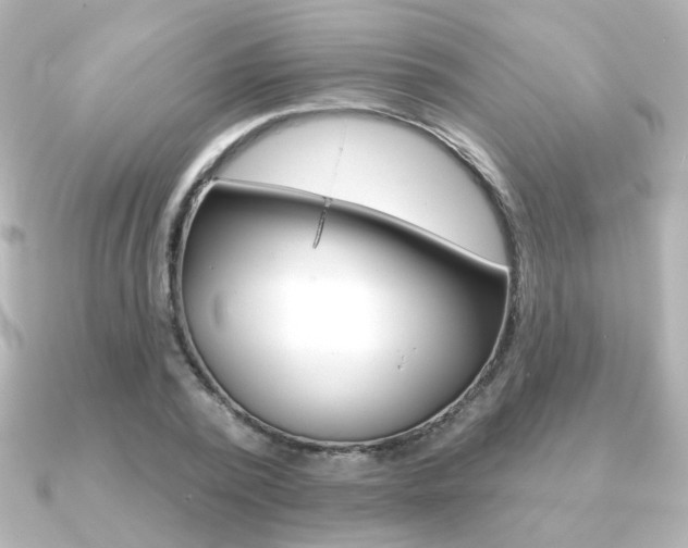 X0000091370784200708101114