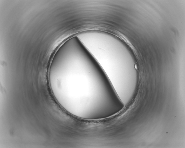 X0000091370786200708101114