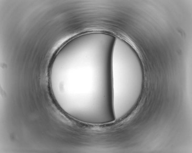 X0000091370787200708101114