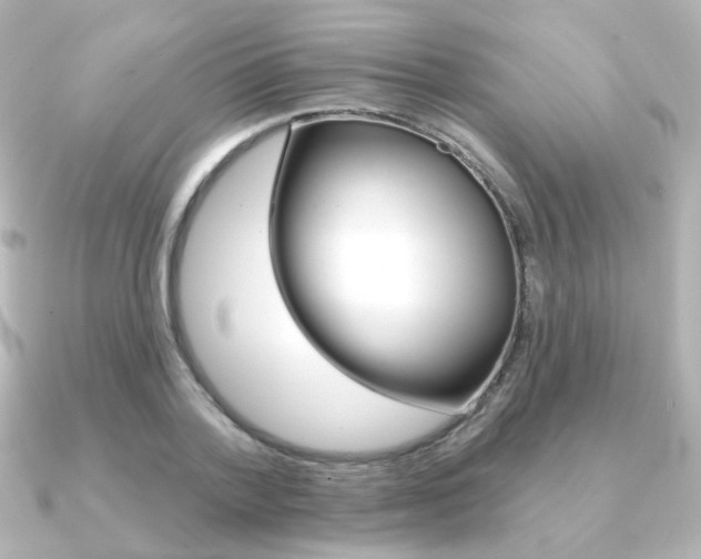 X0000091370788200708101114