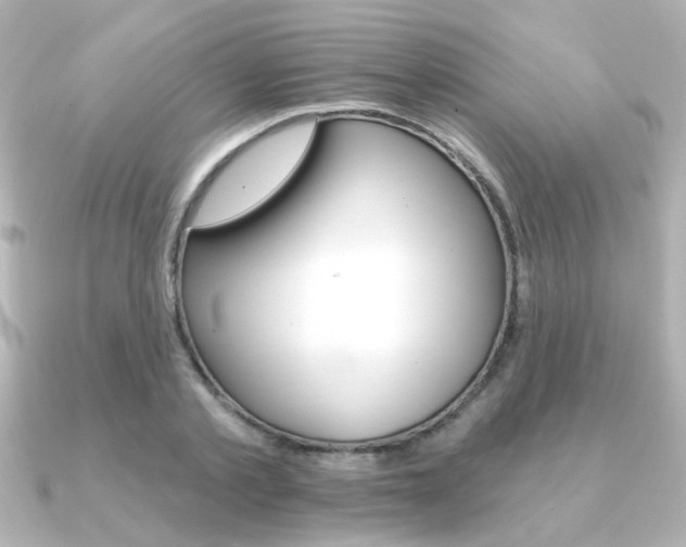 X0000091370789200708101114