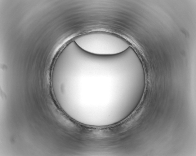 X0000091370790200708101114