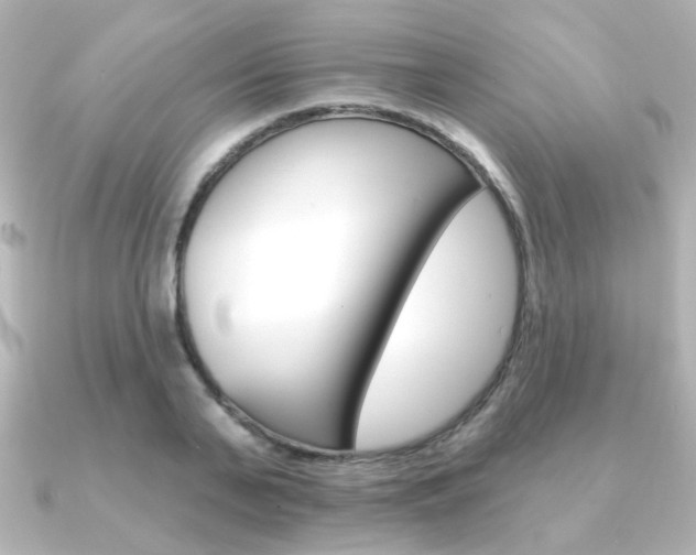 X0000091370791200708101114