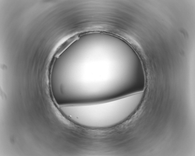 X0000091370792200708101114
