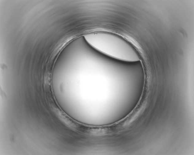 X0000091370793200708101114