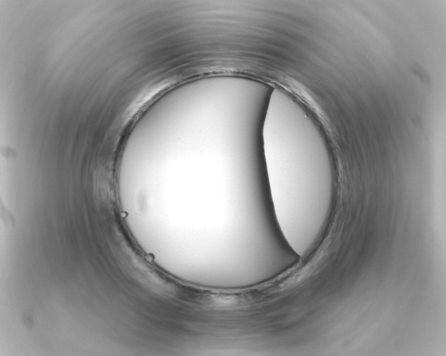 X0000091370794200708101114