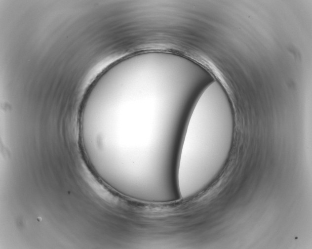 X0000091370795200708101113