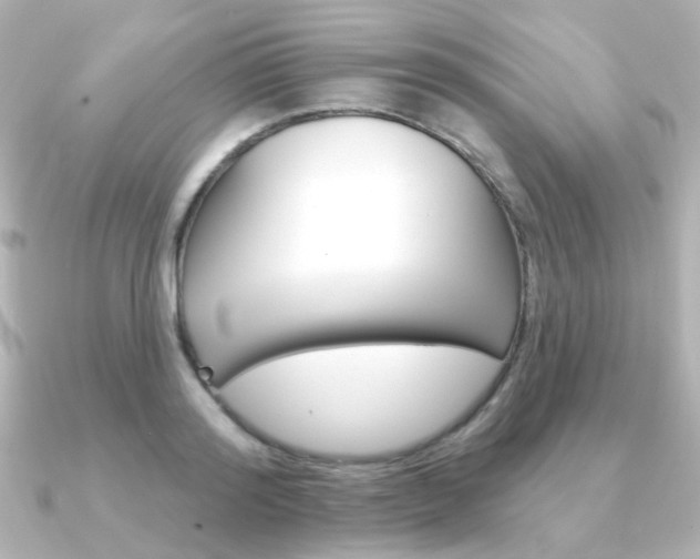 X0000091370796200708101113