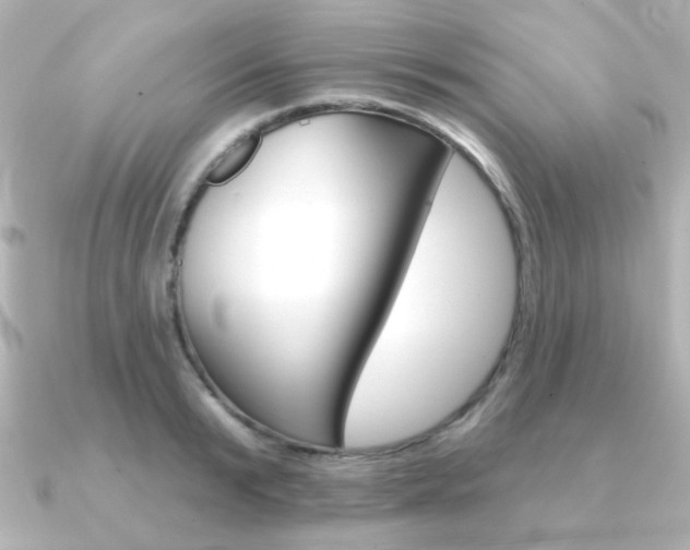 X0000091370799200708101113