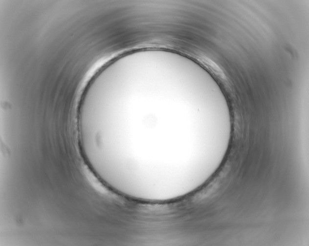 X0000091370800200708101113