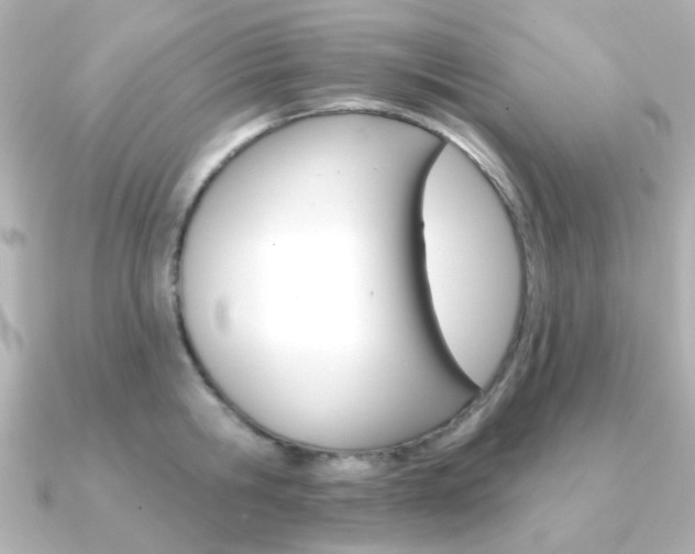 X0000091370806200708101113