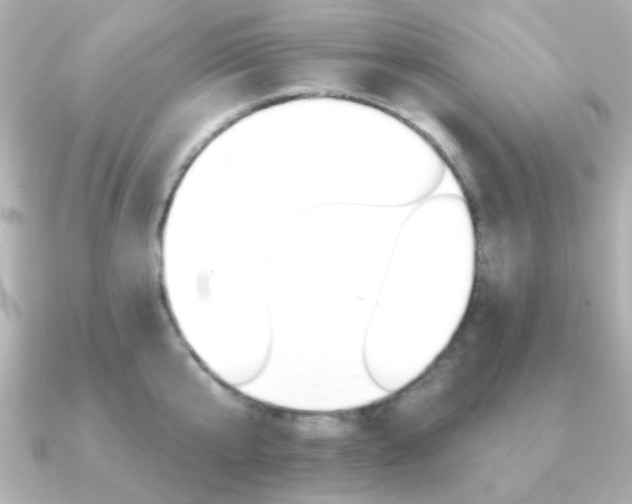X0000091370807200708101113