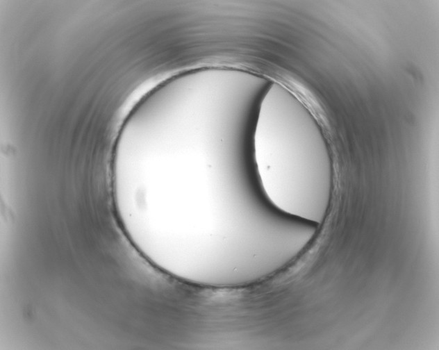 X0000091370808200708101113