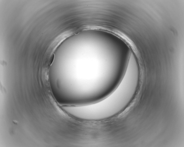 X0000091370809200708101113