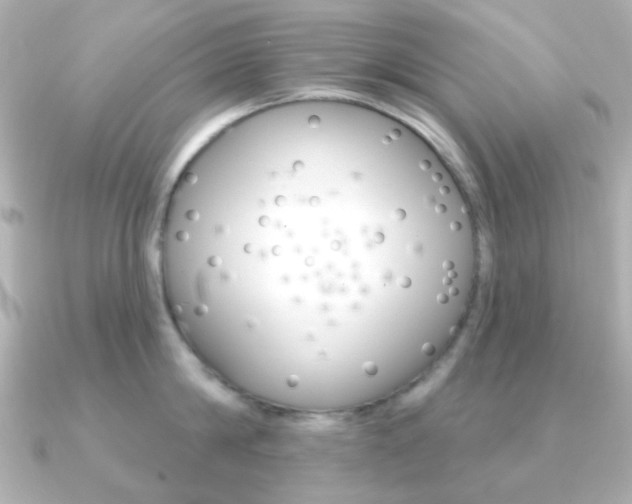 X0000091370814200708101113