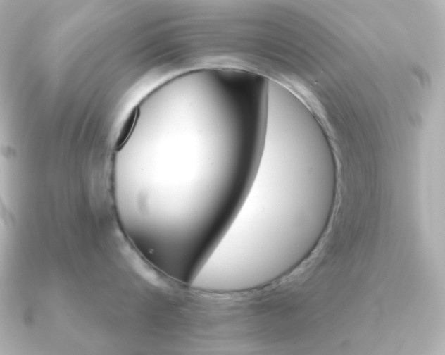 X0000091370816200708101113