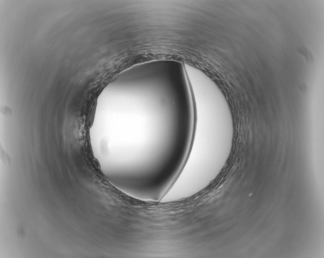 X0000091370818200708101113