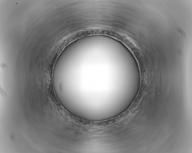 X0000091370821200708101113