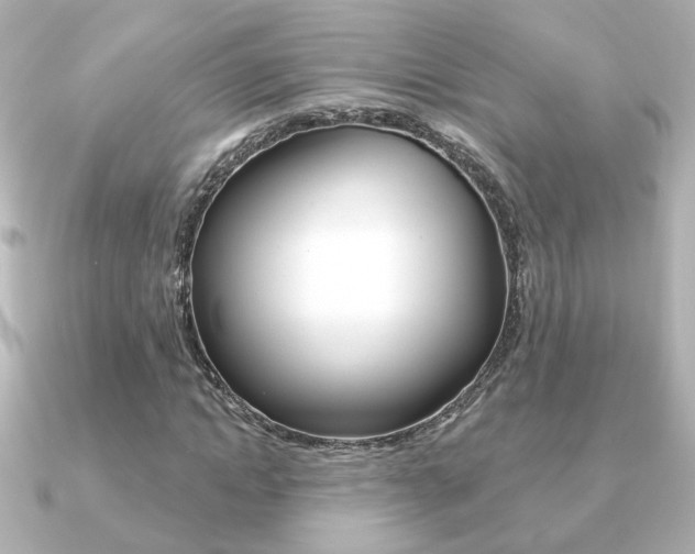X0000091370822200708101113