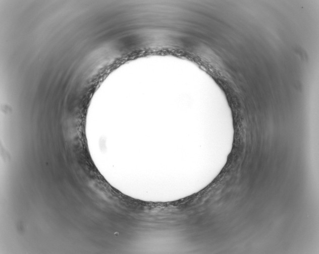 X0000091370824200708101113