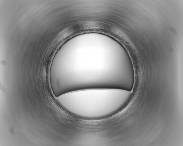 X0000091370825200708101113